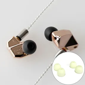 Final Audio B1 Hybrid Driver Earphones ( free Glow-in-the-Dark tips) - Discontinued