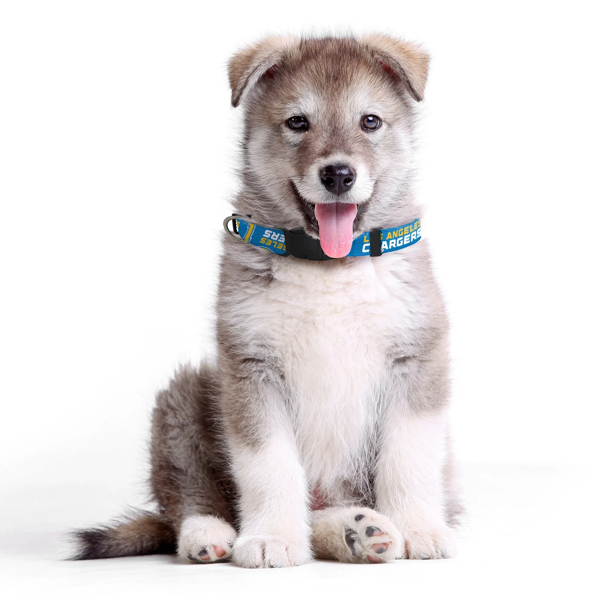 Los Angeles Chargers Pet Team Collar