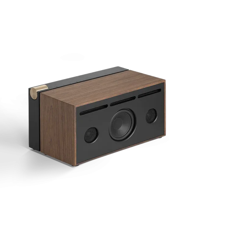 PR/01 NL BT Wooden Speaker Black Int