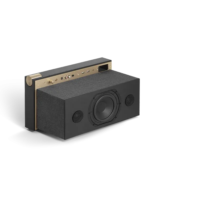 PR/01 NL BT Wooden Speaker Black Int