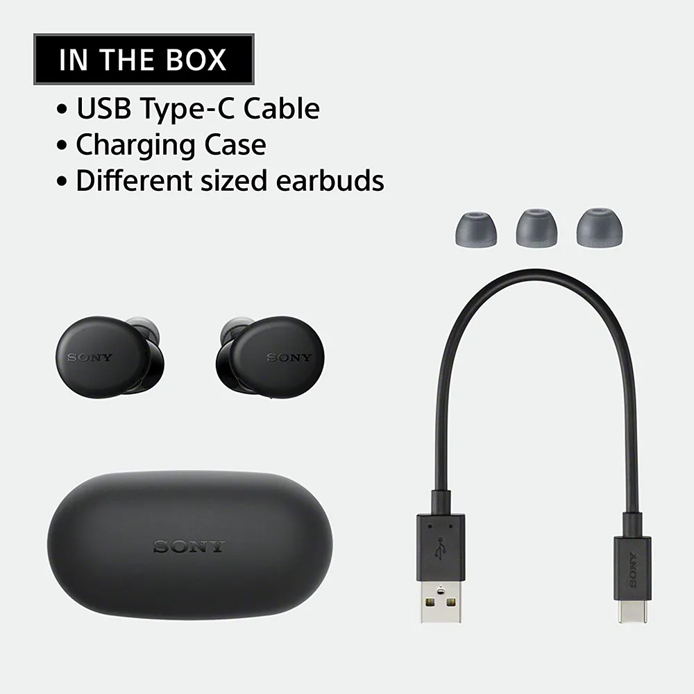 Sony WF-XB700 Truly Wireless Extra Bass Bluetooth,Earbuds with Mic, Quick Charge