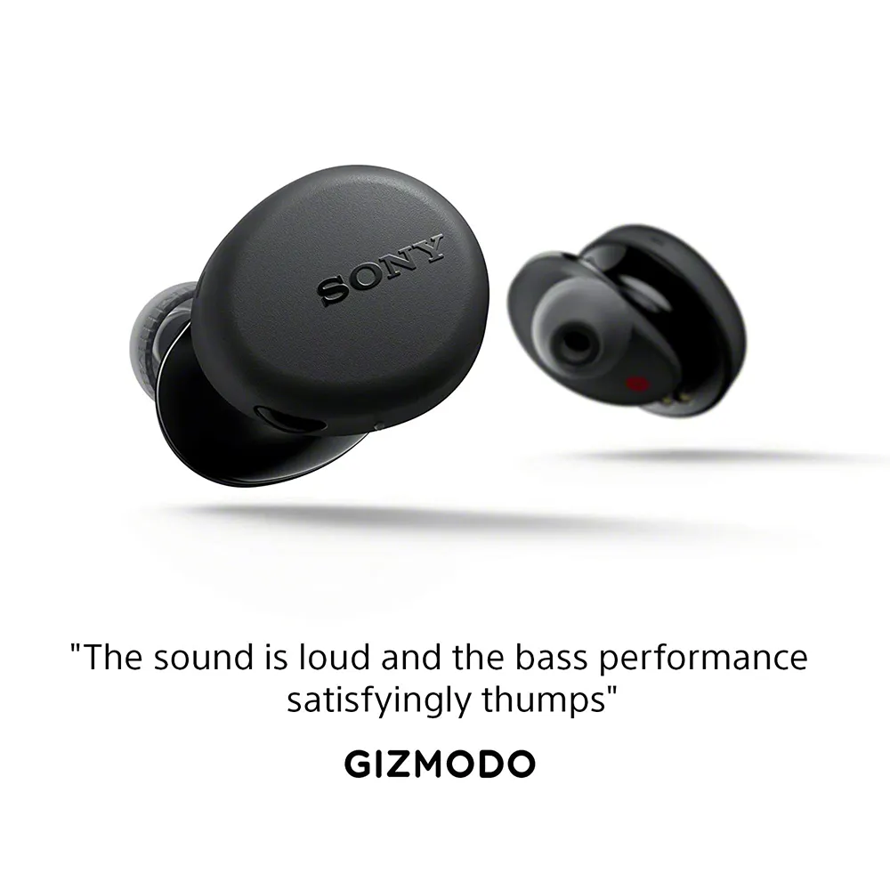 Sony WF-XB700 Truly Wireless Extra Bass Bluetooth,Earbuds with Mic, Quick Charge